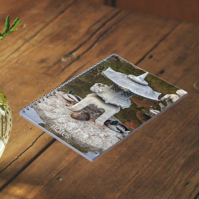 Carnet Canards lanternes et colverts japonais (In Situ)