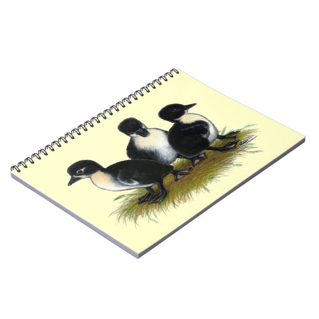 Carnet Canetons suédois noirs (Côté gauche)
