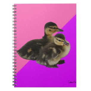 Carnet Canetons sur Framboise Rose et Sorbet Violet