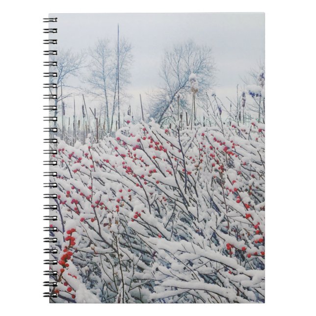 Carnet canneberge et cattelle (Devant)