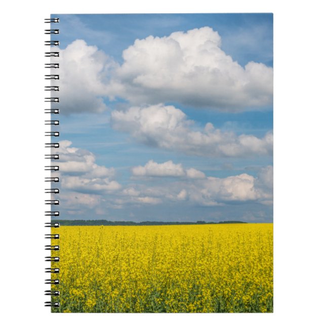 Carnet Canola Field & Nuages (Devant)