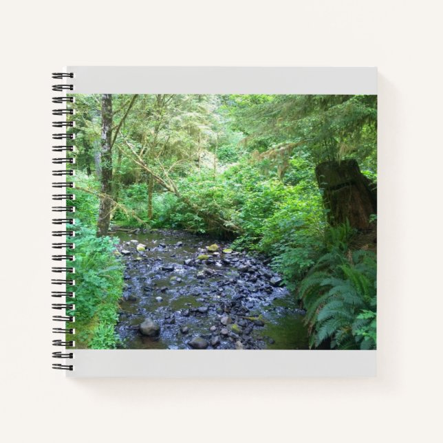 Carnet Cape Creek, Cape Perpetua, Oregon (Devant)
