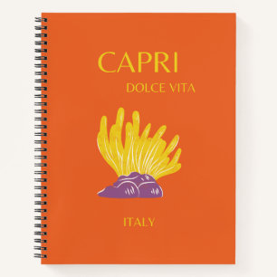 Carnet Capri, Italie, Voyage, Preppy, Orange