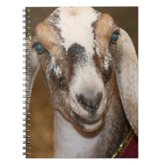 Carnet Caprin blanc de rayure de daine de chèvre de