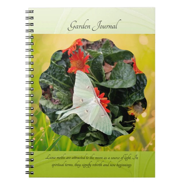 Carnet Captivant Luna Moth (Devant)