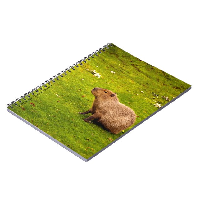 Carnet Capybara (Côté gauche)