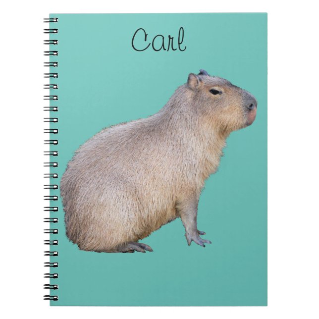 Carnet Capybara (Devant)