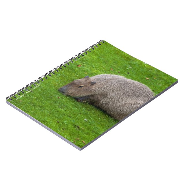 Carnet Capybara Animal Incroyable (Côté gauche)