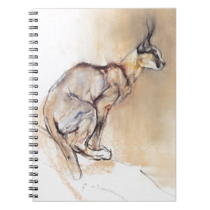 Carnet Caracal posé 2009