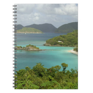 Carnet Caraïbes, Îles Vierges américaines, St. John, Trun