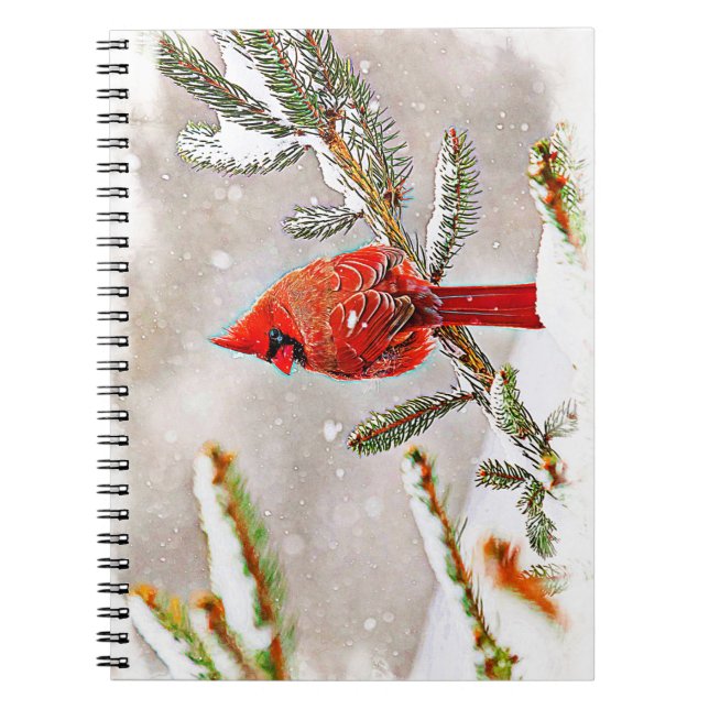 Carnet Cardinal dans un pin en hiver (Devant)