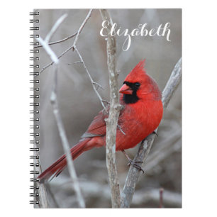 Carnet Cardinal du nord