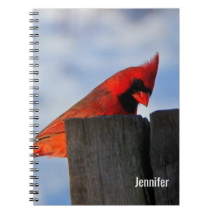 Carnet Cardinal rouge sur la souche en bois Personnalisé