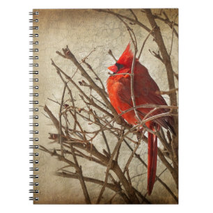 Carnet Cardinal rouge - Texture Brown