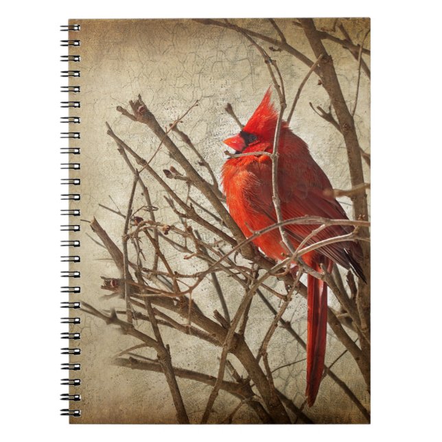 Carnet Cardinal rouge - Texture Brown (Devant)