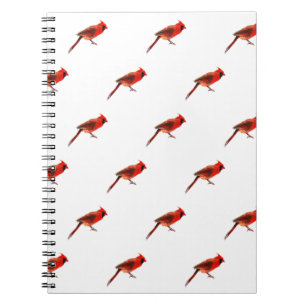 Carnet Cardinal(s)