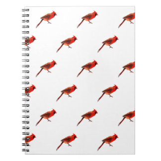 Carnet Cardinal(s)