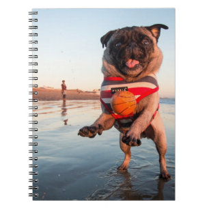 Carnet Carlin à la plage