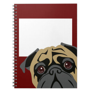Carnet Carlin câlin