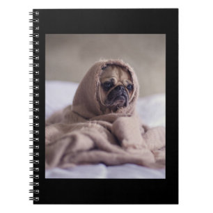Carnet Carlin Dans Couverture Cute Carlin Amoureux des ch