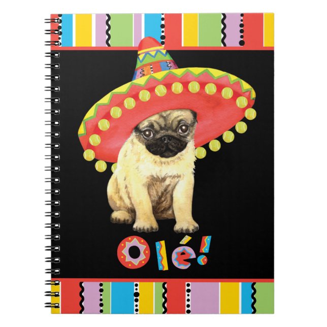 Carnet Carlin Fiesta (Devant)