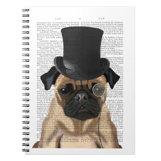 Carnet Carlin, Hound officiel et Casquette (Devant)