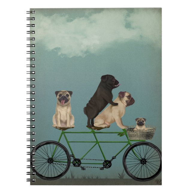 Carnet Carlin Tandem (Devant)