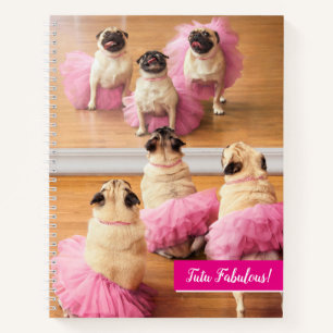 Carnet Carlins Ballerina En Tutus