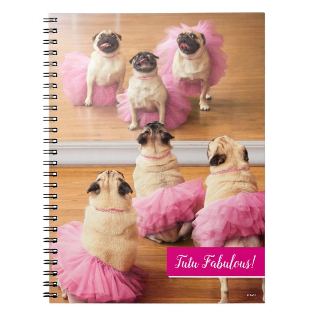 Carnet Carlins Ballerina En Tutus (Devant)