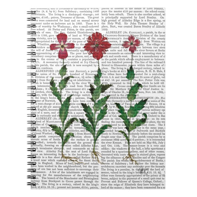 Carnet Carnation italienne 1 (Devant)