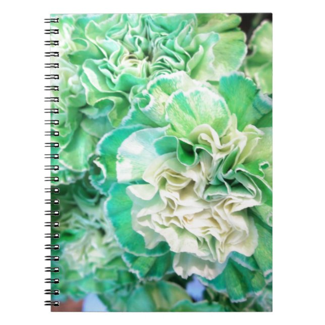 Carnet Carnation verte (Devant)