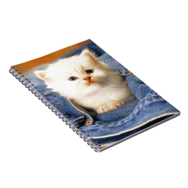 Carnet Carnet-Bleu Jean Poche Kitten (Côté Droit)