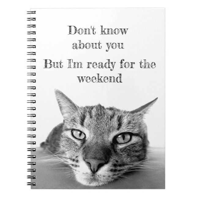 Carnet Carnet-chat spiral (Devant)