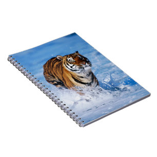 Carnet Carnet-tigre