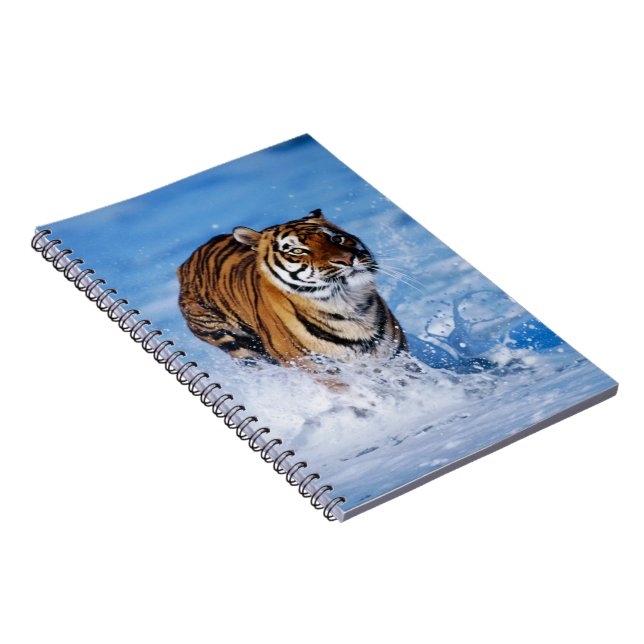 Carnet Carnet-tigre (Côté Droit)