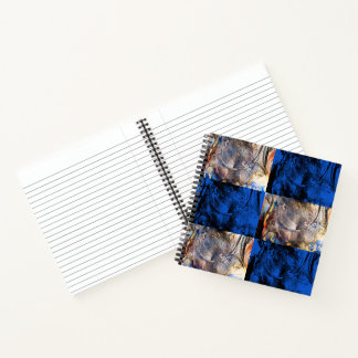 Carnet carnivest