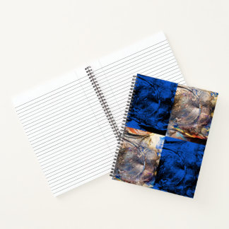 Carnet carnivest