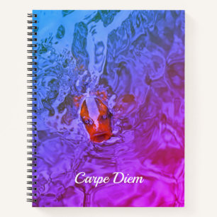 Carnet Carpe Diem Pond Fish Fun Photographie