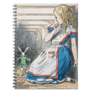 Carnet Carroll : Alice, 1865
