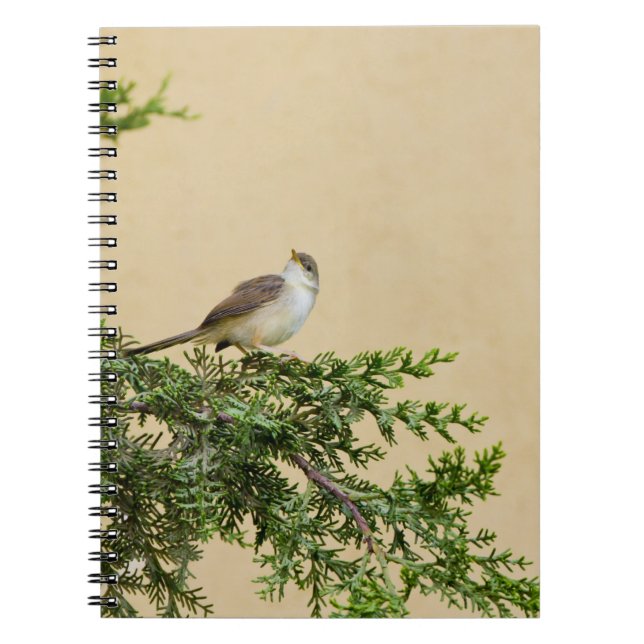 Carnet Carte postale du moineau (Devant)