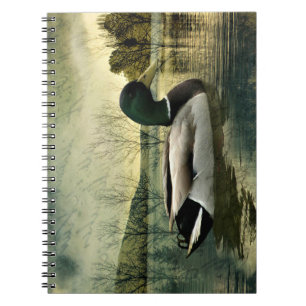 Carnet Carte postale Patinée vintage Mallard Duck