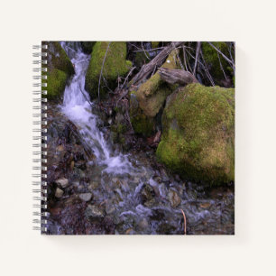 Carnet Cascade de Fae......