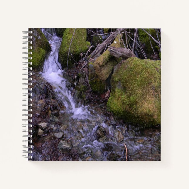 Carnet Cascade de Fae...... (Devant)