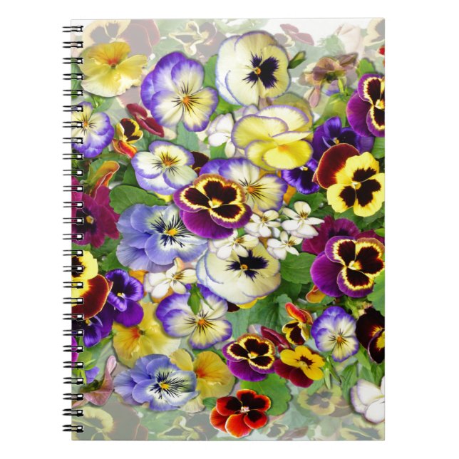 Carnet Cascade de Pansy (Devant)