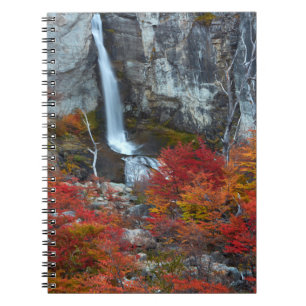 Carnet Cascade El Chorrillo Patagonie, Argentine