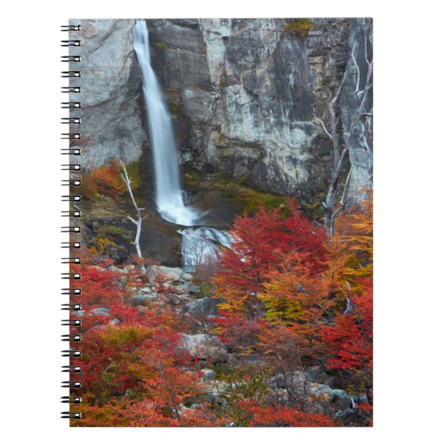 Carnet Cascade El Chorrillo | Patagonie, Argentine (Devant)