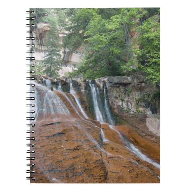 Carnet Cascade, parc national de Zion, Utah, États-Unis (Devant)