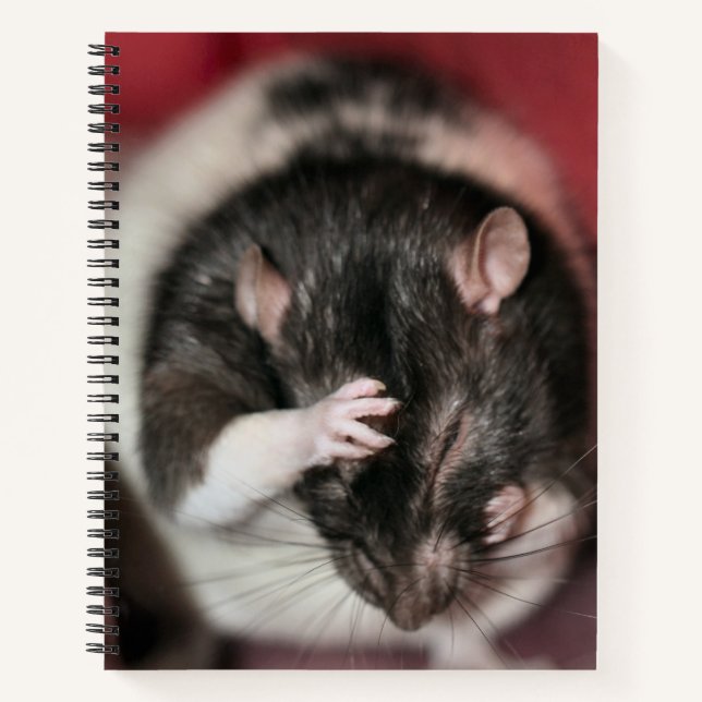 Carnet Casque (Devant)