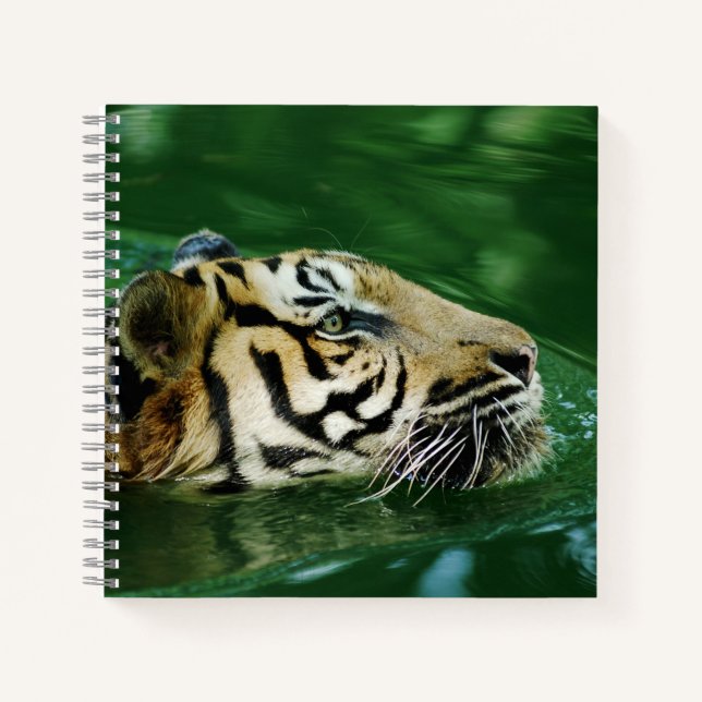 Carnet Casque de natation en tigre malaisien (Devant)