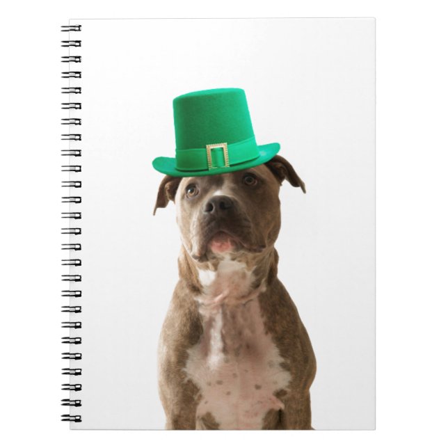 Carnet Casquette de la Saint-Patrick Jour du Chien Taurea (Devant)